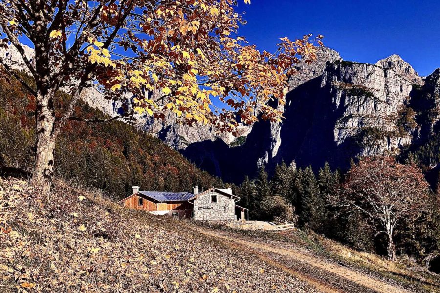 rifugio malga andalo