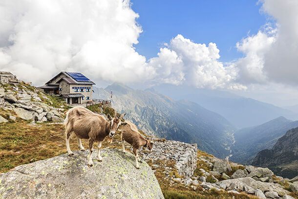 rifugio care alto dante ongari